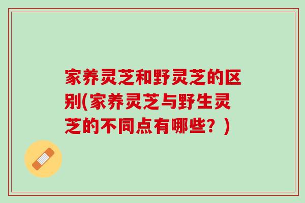 家养灵芝和野灵芝的区别(家养灵芝与野生灵芝的不同点有哪些？)