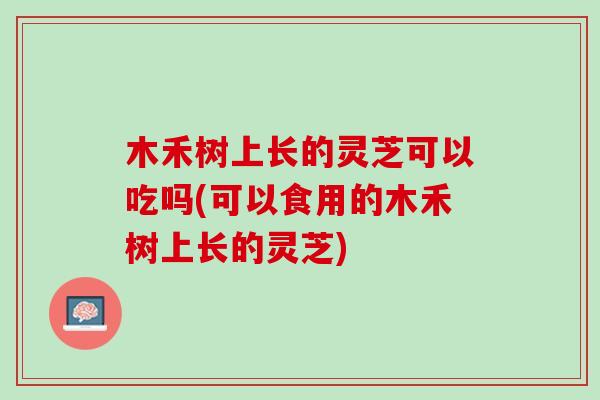 木禾树上长的灵芝可以吃吗(可以食用的木禾树上长的灵芝)