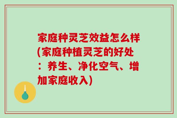 家庭种灵芝效益怎么样(家庭种植灵芝的好处：养生、净化空气、增加家庭收入)