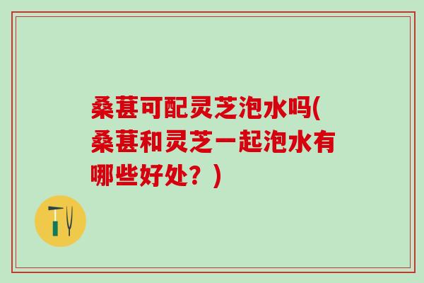 桑葚可配灵芝泡水吗(桑葚和灵芝一起泡水有哪些好处？)