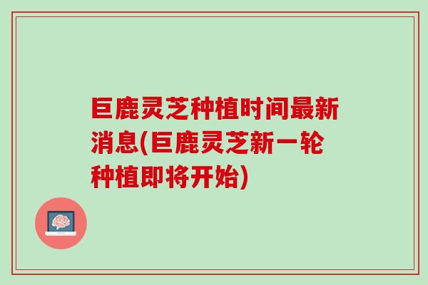 巨鹿灵芝种植时间最新消息(巨鹿灵芝新一轮种植即将开始)