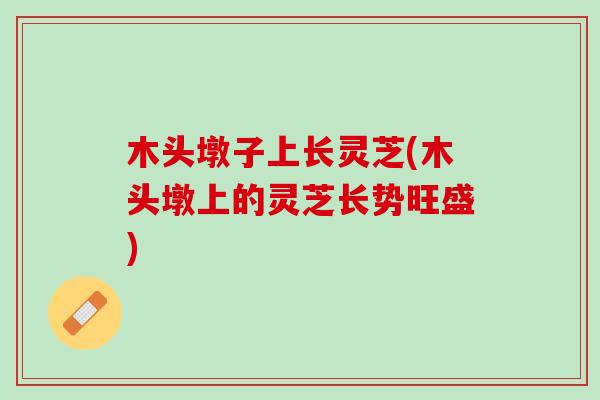 木头墩子上长灵芝(木头墩上的灵芝长势旺盛) 木头墩子上长灵芝(木头墩上的灵芝长势旺盛)