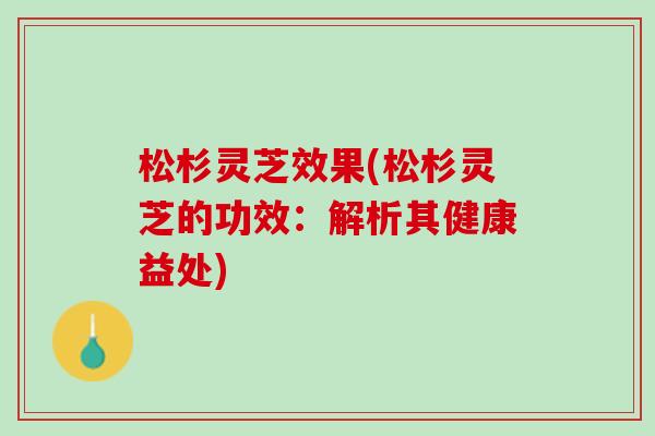 松杉灵芝效果(松杉灵芝的功效：解析其健康益处)