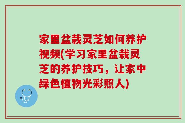 家里盆栽灵芝如何养护视频(学习家里盆栽灵芝的养护技巧，让家中绿色植物光彩照人)