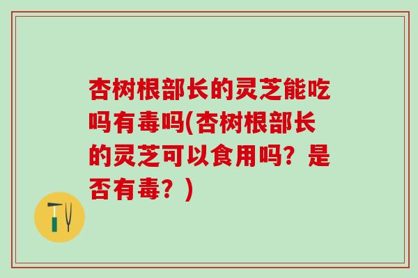 杏树根部长的灵芝能吃吗有毒吗(杏树根部长的灵芝可以食用吗?是否有毒?) 杏树根部长的灵芝能吃吗有毒吗(杏树根部长的灵芝可以食用吗?是否有毒?)