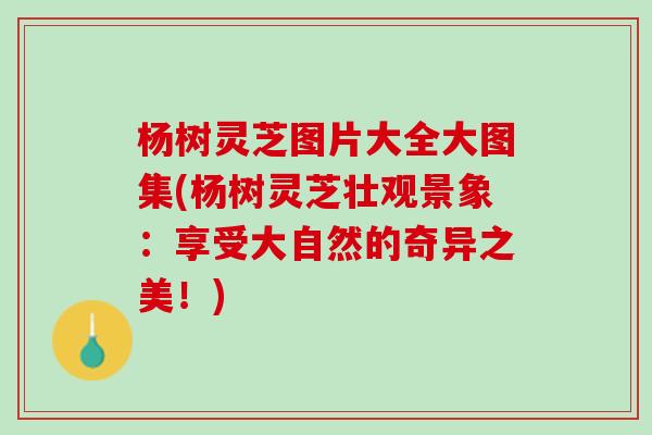 杨树灵芝图片大全大图集(杨树灵芝壮观景象：享受大自然的奇异之美！)