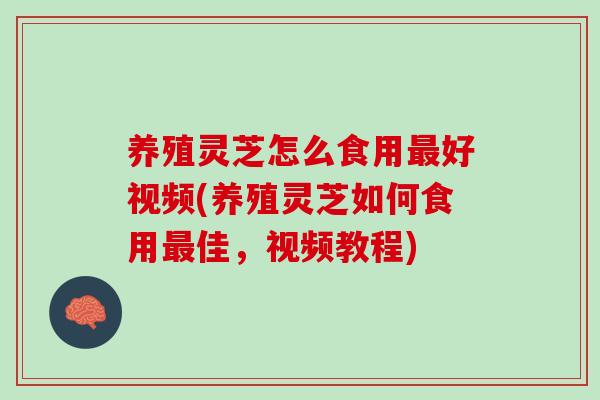养殖灵芝怎么食用最好视频(养殖灵芝如何食用最佳，视频教程)