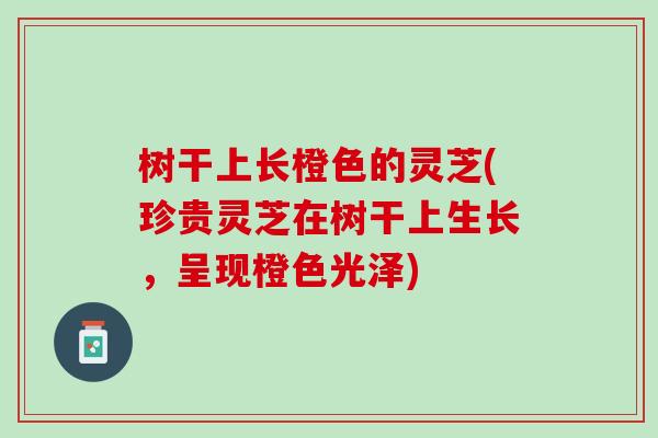 树干上长橙色的灵芝(珍贵灵芝在树干上生长，呈现橙色光泽)