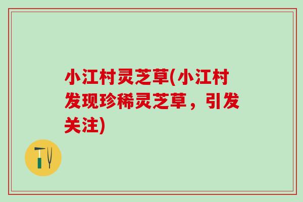 小江村灵芝草(小江村发现珍稀灵芝草,引发关注) 小江村灵芝草(小江村发现珍稀灵芝草,引发关注)