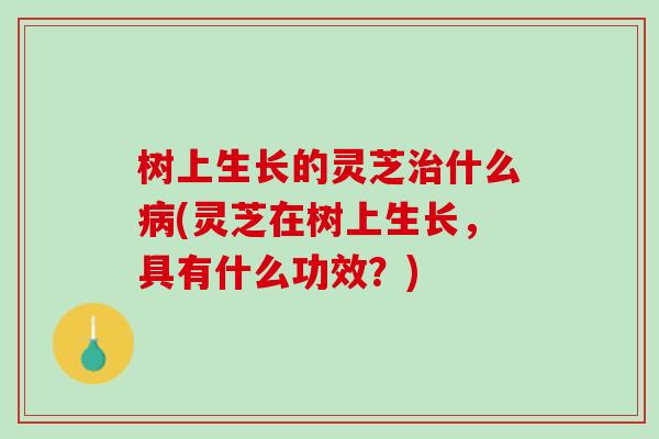 树上生长的灵芝治什么病(灵芝在树上生长，具有什么功效？)