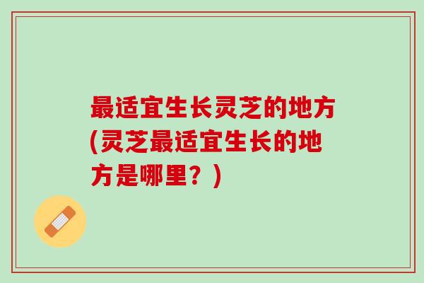 最适宜生长灵芝的地方(灵芝最适宜生长的地方是哪里？)