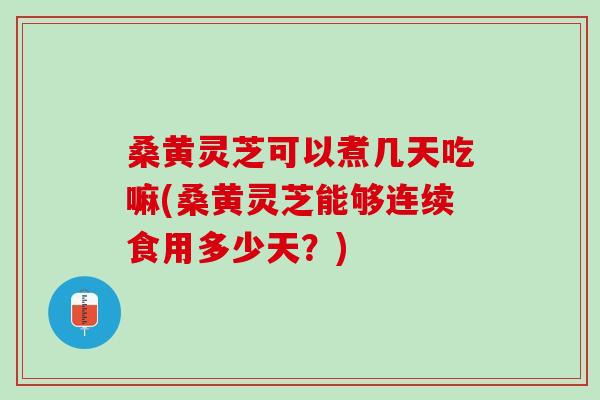 桑黄灵芝可以煮几天吃嘛(桑黄灵芝能够连续食用多少天?) 桑黄灵芝可以煮几天吃嘛(桑黄灵芝能够连续食用多少天?)