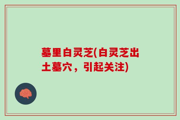 墓里白灵芝(白灵芝出土墓穴,引起关注) 墓里白灵芝(白灵芝出土墓穴,引起关注)