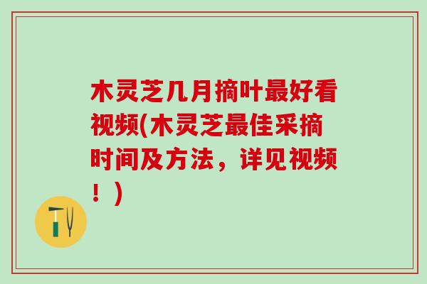 木灵芝几月摘叶最好看视频(木灵芝最佳采摘时间及方法，详见视频！)