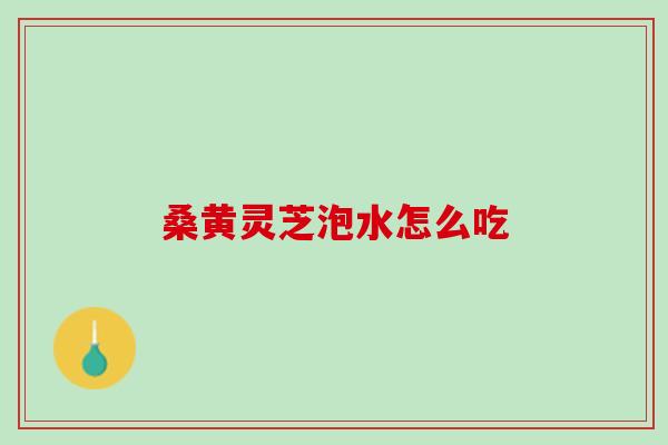 桑黄灵芝泡水怎么吃