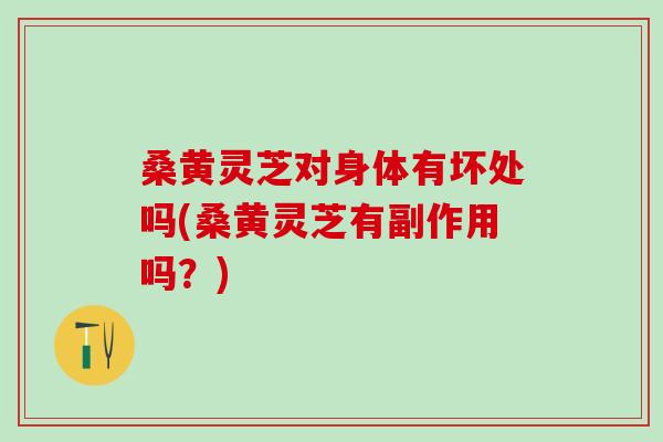 桑黄灵芝对身体有坏处吗(桑黄灵芝有副作用吗?) 桑黄灵芝对身体有坏处吗(桑黄灵芝有副作用吗?)