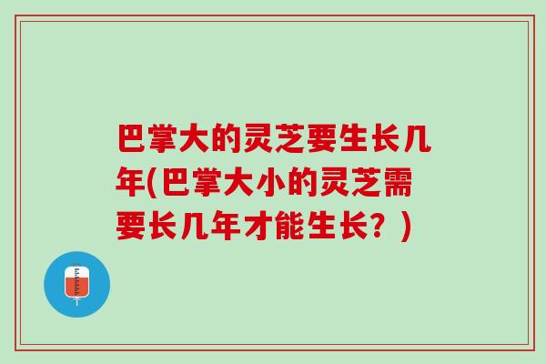 巴掌大的灵芝要生长几年(巴掌大小的灵芝需要长几年才能生长?) 巴掌大的灵芝要生长几年(巴掌大小的灵芝需要长几年才能生长?)