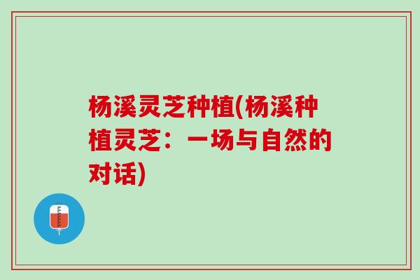 杨溪灵芝种植(杨溪种植灵芝：一场与自然的对话)