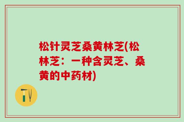 松针灵芝桑黄林芝(松林芝：一种含灵芝、桑黄的中药材)