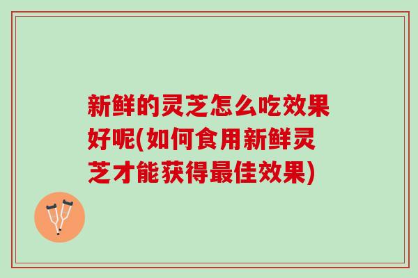 新鲜的灵芝怎么吃效果好呢(如何食用新鲜灵芝才能获得最佳效果)