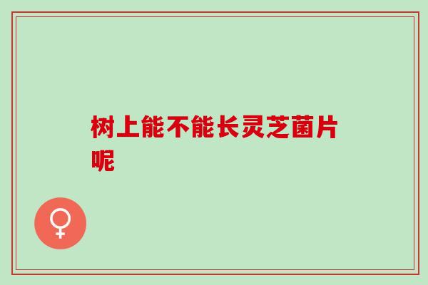 树上能不能长灵芝菌片呢