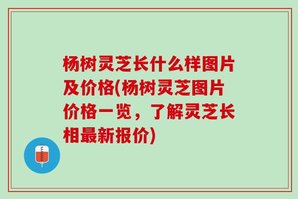 杨树灵芝长什么样图片及价格(杨树灵芝图片价格一览，了解灵芝长相最新报价)