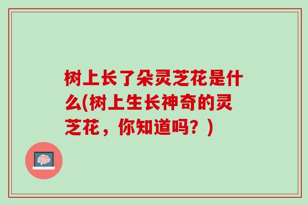 树上长了朵灵芝花是什么(树上生长神奇的灵芝花，你知道吗？)