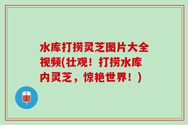 水库打捞灵芝图片大全视频(壮观！打捞水库内灵芝，惊艳世界！)