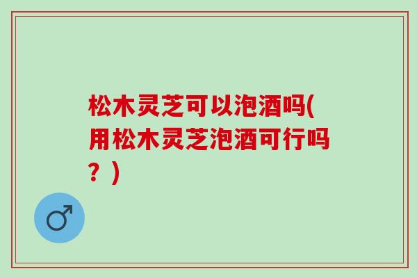 松木灵芝可以泡酒吗(用松木灵芝泡酒可行吗？)