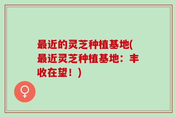 最近的灵芝种植基地(最近灵芝种植基地：丰收在望！)