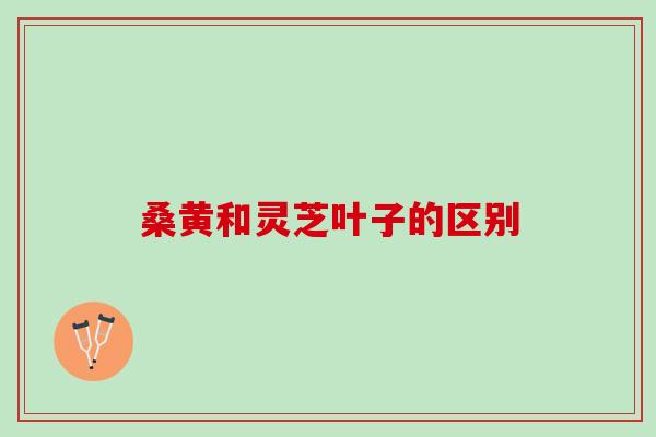 桑黄和灵芝叶子的区别