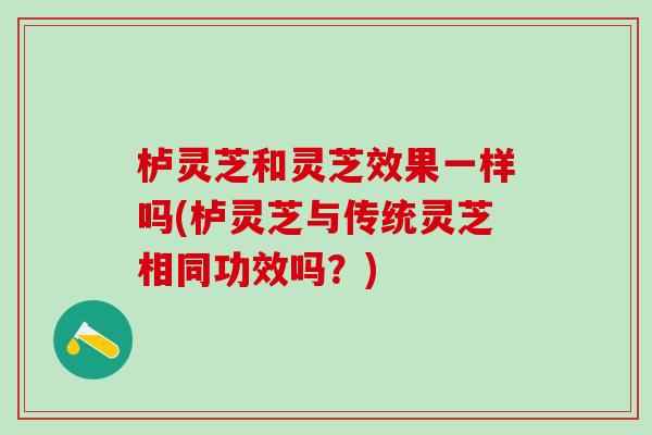栌灵芝和灵芝效果一样吗(栌灵芝与传统灵芝相同功效吗?) 栌灵芝和灵芝效果一样吗(栌灵芝与传统灵芝相同功效吗?)
