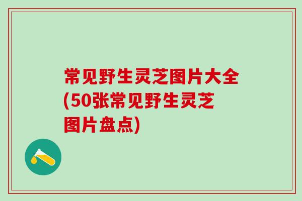 常见野生灵芝图片大全(50张常见野生灵芝图片盘点)