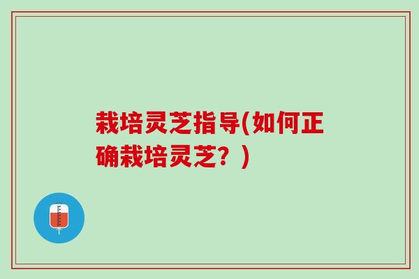 栽培灵芝指导(如何正确栽培灵芝?) 栽培灵芝指导(如何正确栽培灵芝?)