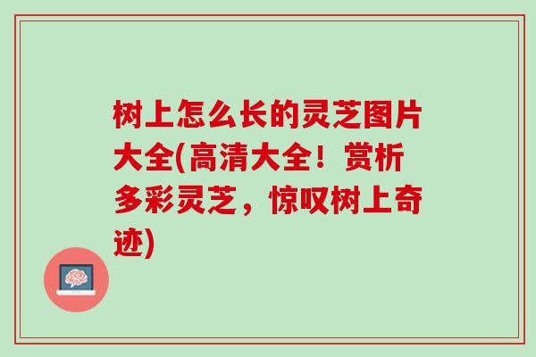 树上怎么长的灵芝图片大全(高清大全!赏析多彩灵芝,惊叹树上奇迹) 树上怎么长的灵芝图片大全(高清大全!赏析多彩灵芝,惊叹树上奇迹)