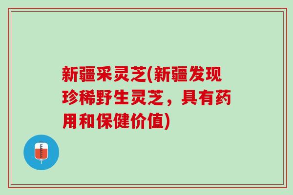 新疆采灵芝(新疆发现珍稀野生灵芝,具有药用和保健价值) 新疆采灵芝(新疆发现珍稀野生灵芝,具有药用和保健价值)
