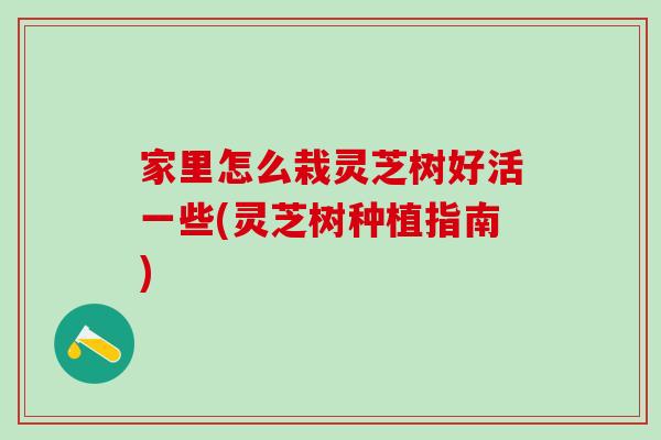 家里怎么栽灵芝树好活一些(灵芝树种植指南)