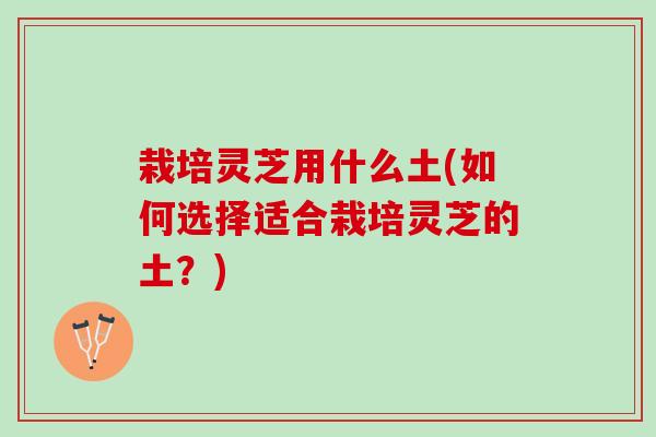 栽培灵芝用什么土(如何选择适合栽培灵芝的土？)