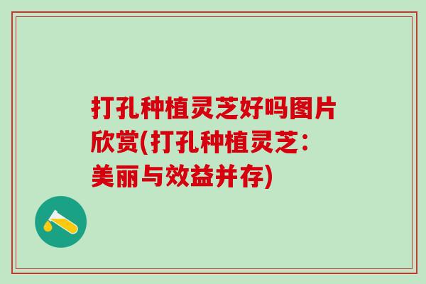 打孔种植灵芝好吗图片欣赏(打孔种植灵芝：美丽与效益并存)