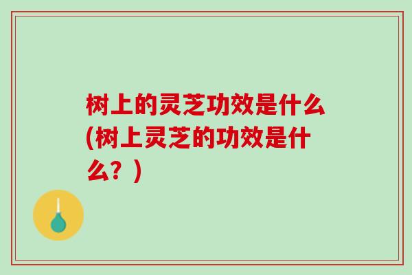 树上的灵芝功效是什么(树上灵芝的功效是什么？)