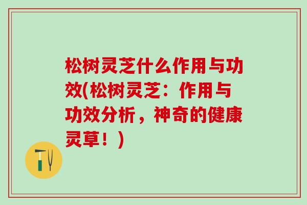 松树灵芝什么作用与功效(松树灵芝：作用与功效分析，神奇的健康灵草！)