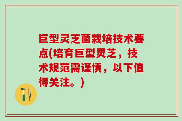 巨型灵芝菌栽培技术要点(培育巨型灵芝，技术规范需谨慎，以下值得关注。)