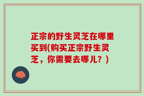 正宗的野生灵芝在哪里买到(购买正宗野生灵芝,你需要去哪儿?) 正宗的野生灵芝在哪里买到(购买正宗野生灵芝,你需要去哪儿?)
