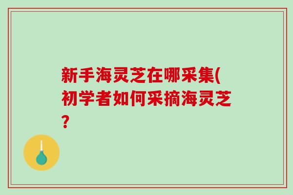 新手海灵芝在哪采集(初学者如何采摘海灵芝? 新手海灵芝在哪采集(初学者如何采摘海灵芝?