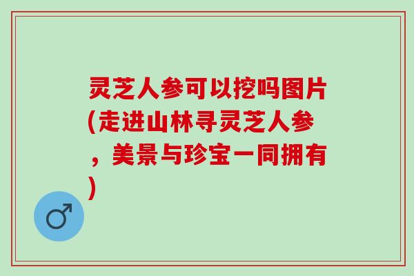 灵芝人参可以挖吗图片(走进山林寻灵芝人参,美景与珍宝一同拥有) 灵芝人参可以挖吗图片(走进山林寻灵芝人参,美景与珍宝一同拥有)