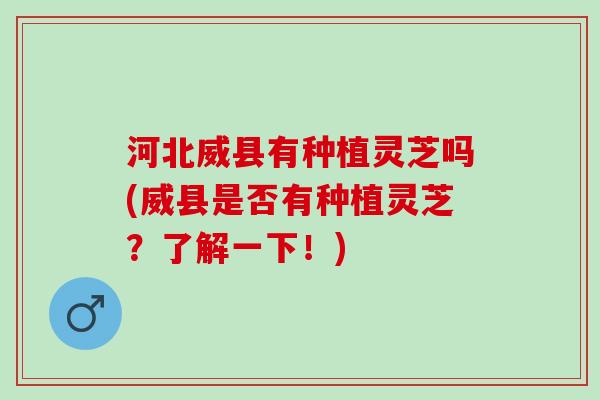 河北威县有种植灵芝吗(威县是否有种植灵芝？了解一下！)