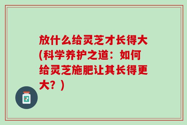 放什么给灵芝才长得大(科学养护之道：如何给灵芝施肥让其长得更大？)