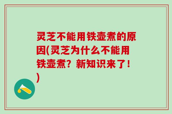 灵芝不能用铁壶煮的原因(灵芝为什么不能用铁壶煮？新知识来了！)