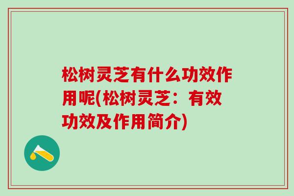 松树灵芝有什么功效作用呢(松树灵芝：有效功效及作用简介)