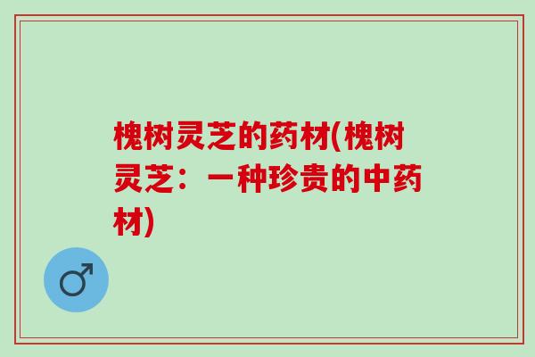 槐树灵芝的药材(槐树灵芝：一种珍贵的中药材)